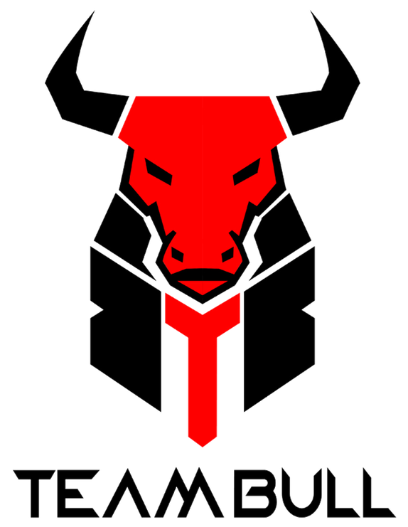 Team Bull